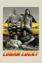 Logan Lucky (2017)