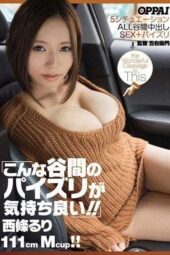 PPPD-225 This cleavage titjob feels so good!! 5 situations All cleavage creampie sex + titjob Saijou Ruri