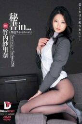 VDD-071 Secretary in (Coercion Sweet Room) Secretary Sarina (28)