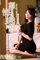 RBD-418 Eldest Son’s Wife, Days of Being Dominated. Frustrated by Unwanted Orgasms - Nishino Shou